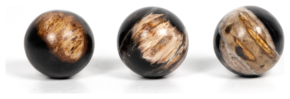 Petrified Wood Balls, Set 3-Dark