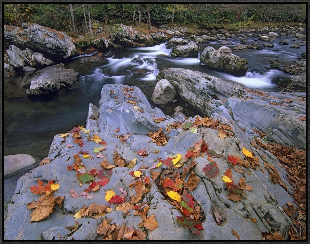 Little Pigeon River, Great Smoky Mountains National Park, Tennessee, 32"x24"