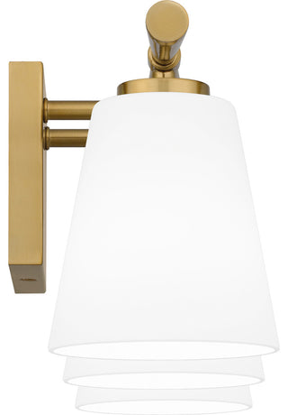 Quoizel BID8623 Brindley 3 Light 24"W Vanity Light - Brushed Nickel