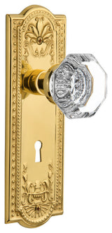 Double Dummy Set With Keyhole, Meadows Plate With Waldorf Knob, Polished Brass