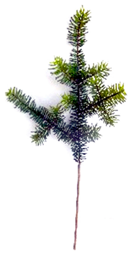 Pine Spray, Set of 6