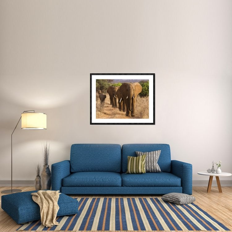 "Herd of African Elephants, Kenya" Framed Digital Print by Anonymous, 48x38"