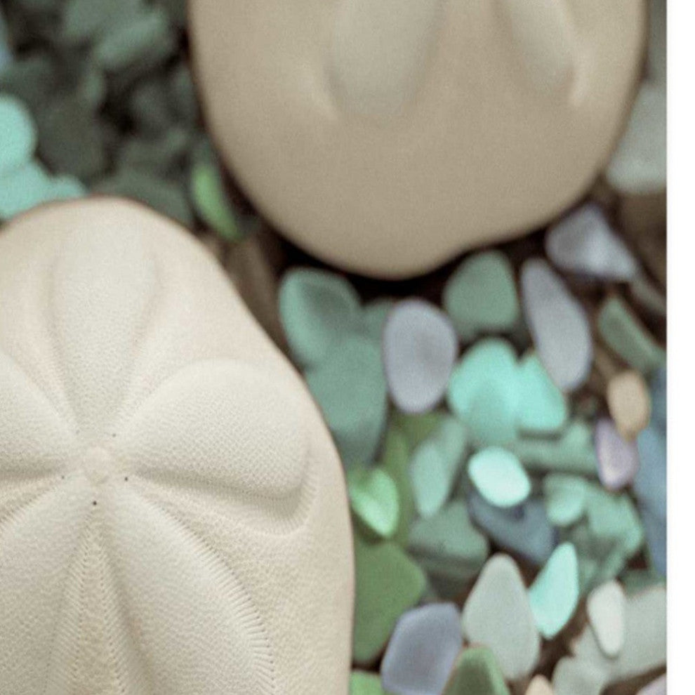 12" Two Sandollars and Seaglass 4 Giclee Wrap Canvas Wall Art