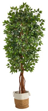 7.5ft. Artificial Deluxe Ficus Tree with Handmade Jute & Cotton Basket