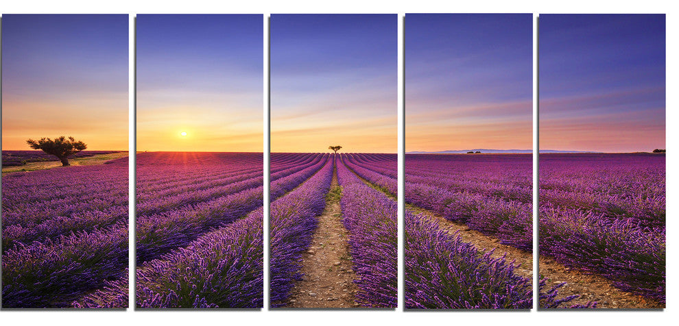 "Lavender Field in Provence France" Landscape Wall Art Print, 5 Panels, 60"x28"