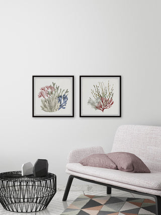 Seaweed and Corals Diptych, 2-Piece Set, 32x32 Panels