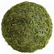 Cyan Bermuda Filler Decor, Green Moss, Small