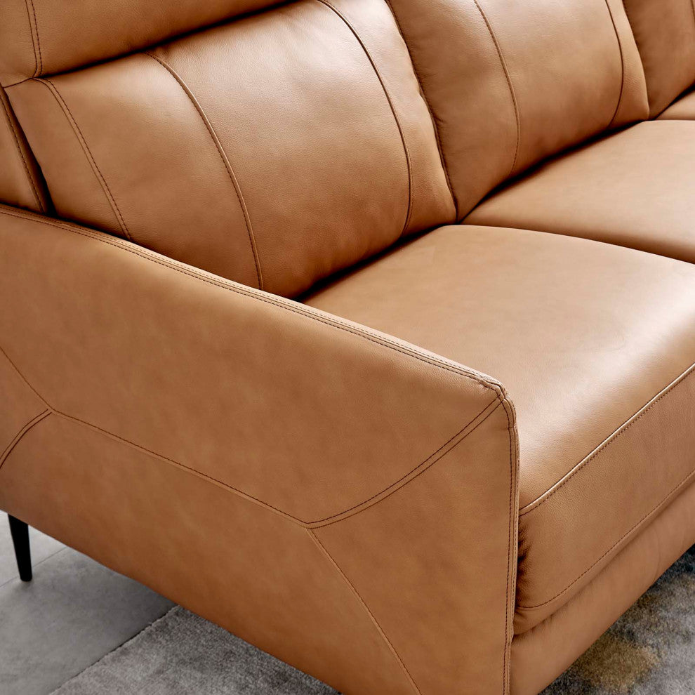 Sofa, Leather, Tan, Modern, Living Lounge Room Hotel Lobby Hospitality