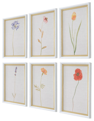Uttermost Wild Flourish Framed Floral Prints Set of 6