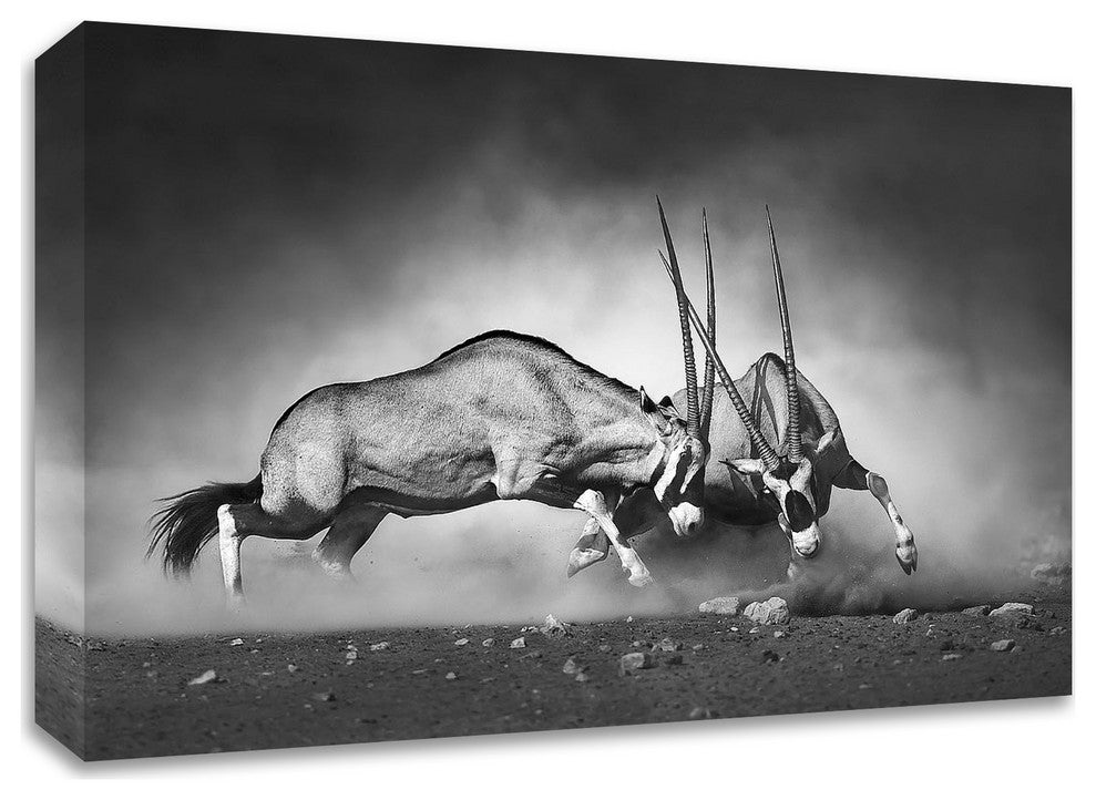 Combat by Design Fabrikken, Print on Canvas, 24"x16"