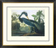 "Louisiana Heron (decorative border)"  by John James Audubon, 40x34"