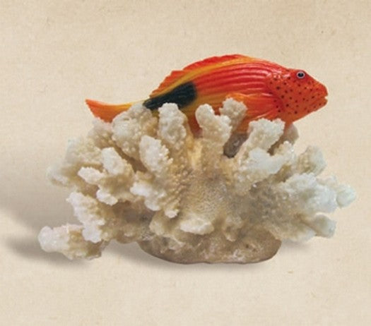 Fish in Coral Sculpture