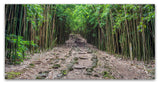 Pierre Leclerc 'Maui Bamboo Forest' Canvas Art, 47x24