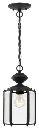 Generation Lighting 1-Light Outdoor Semi-Flush Convertible Pendant, Black
