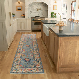 Leoness Vintage Traditional Blue/ Multi Area Rug, 2' x 6'