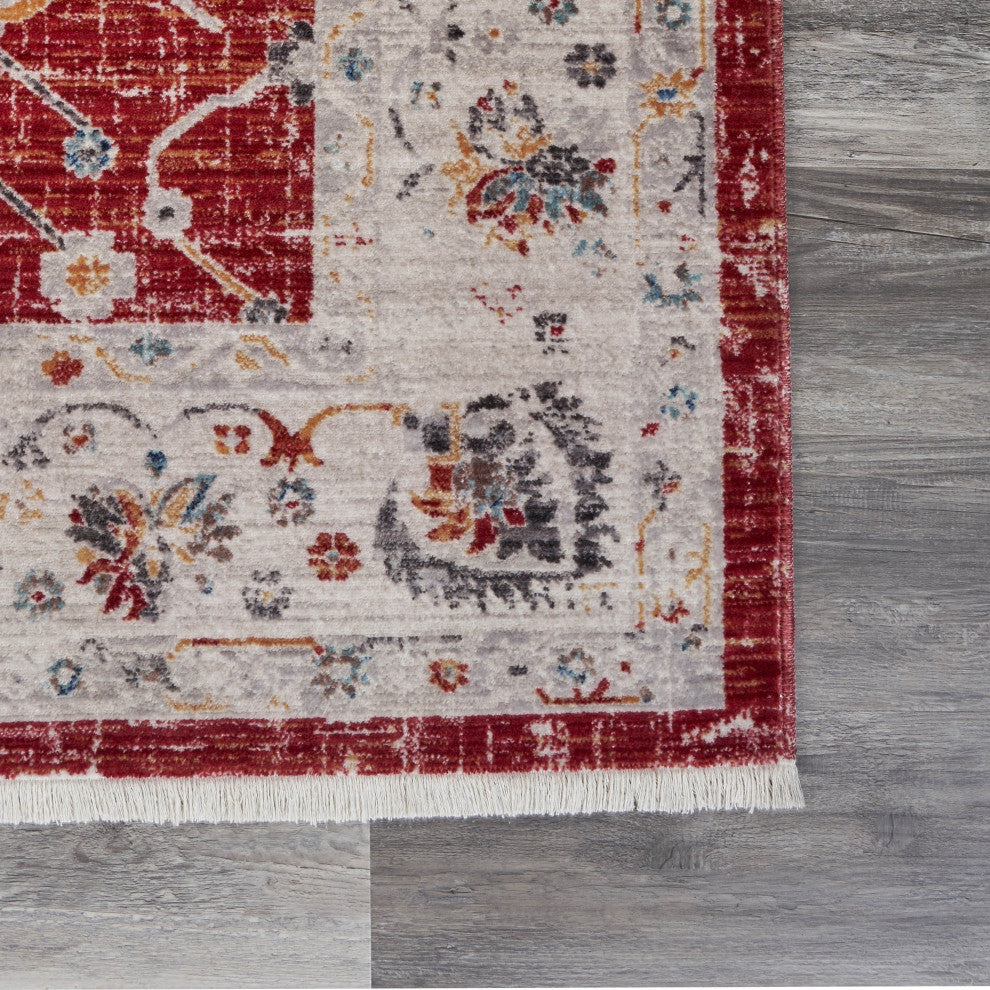 10" x 13" Red Distressed Border Area Rug
