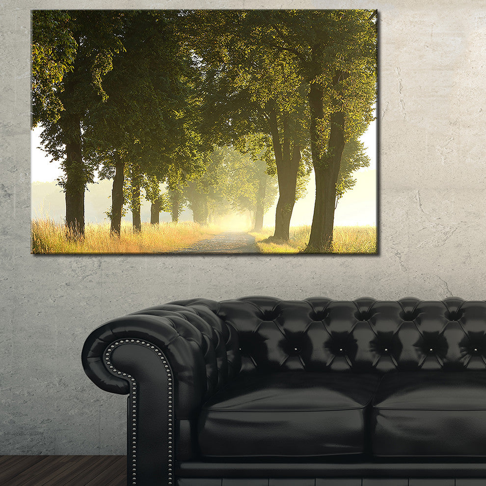 "Country Road Below Green Trees" Landscape Canvas Photo Print, 40"x20"