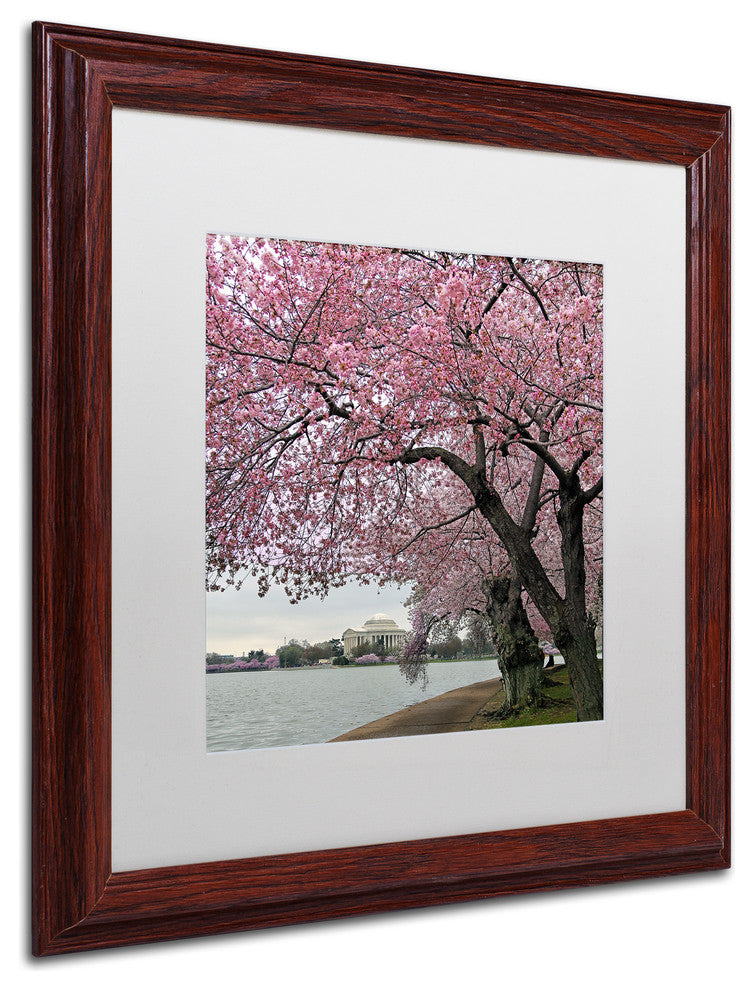 CATeyes 'Tidal Basin Blossoms' Matted Framed Art, 16x16