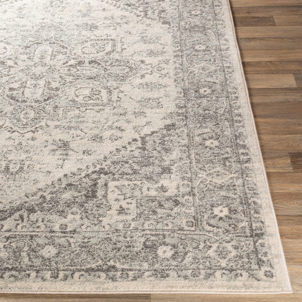 Surya Chester CHE-2312 Traditional Area Rug, 9' x 12' Rectangle