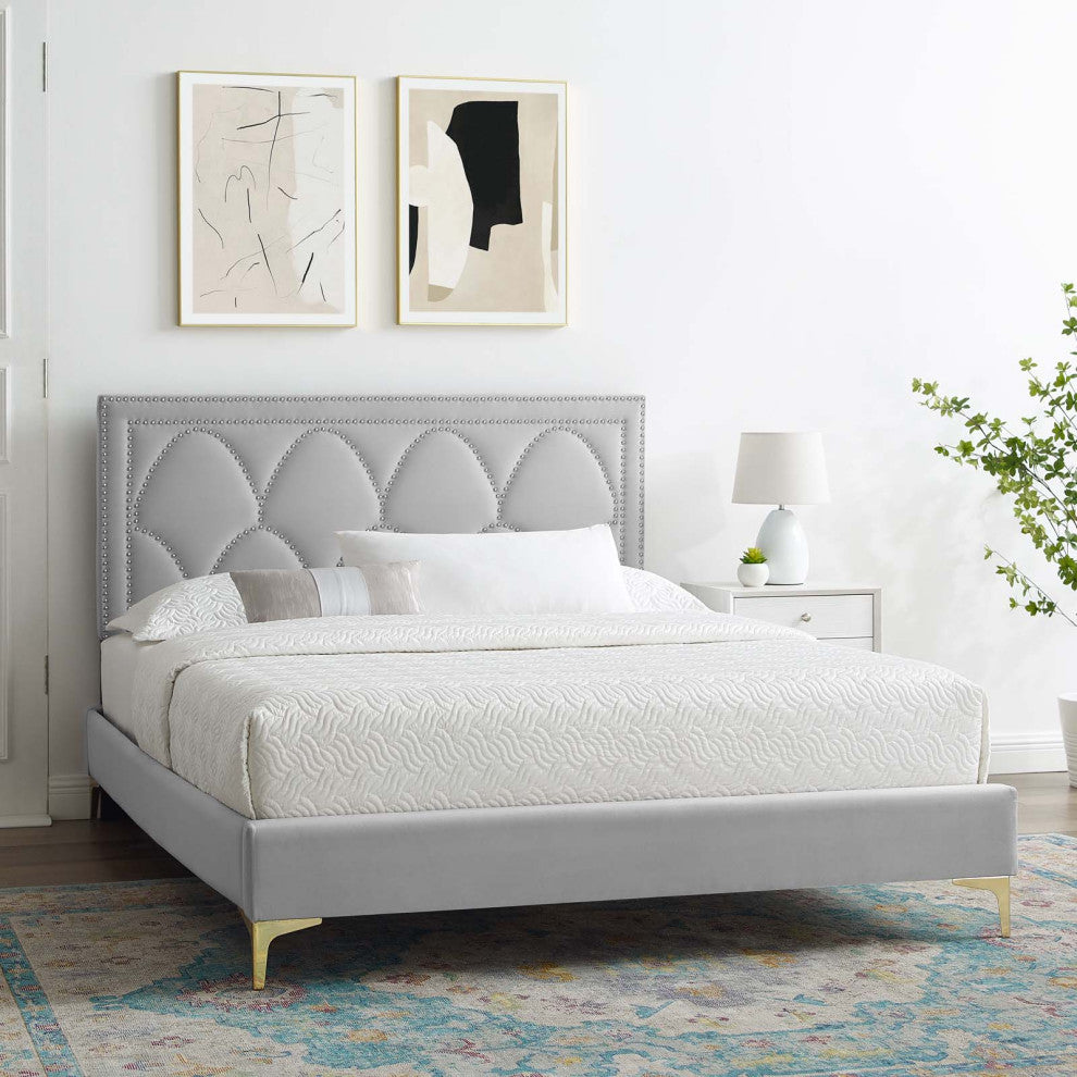Platform Bed Frame, Nailhead, Queen Size, Gray, Velvet, Modern