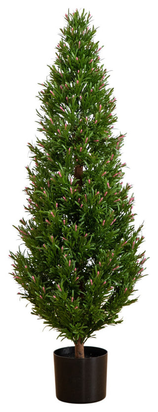 Clean white-background product shot showing the full cone-topiary with pot.