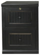 Eagle Furniture Coastal 2-Drawer File Cabinet, Autumn Sage