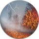 Lighting In Yellow Autumn Forest, Landscape Photo Round Wall Art, 38"
