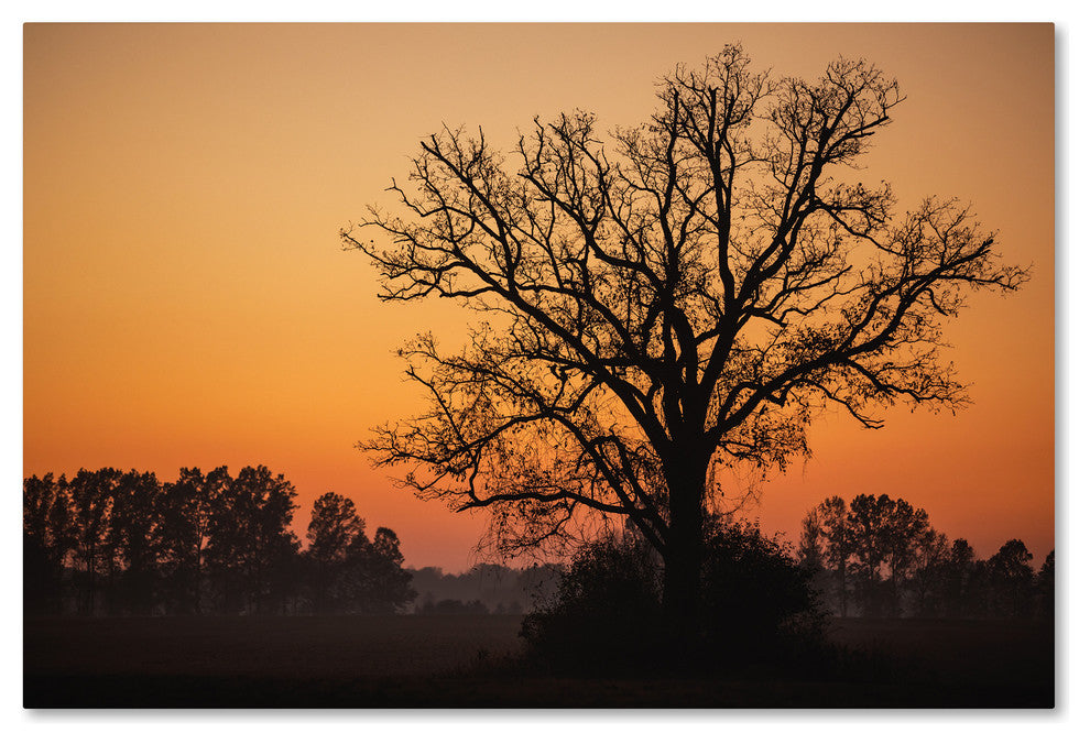 Jason Shaffer ''Vermilion'' Canvas Art, 24x16