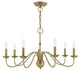 Traditional Chandelier, Antique Brass