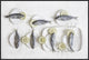 Still Life With Fish, 36"x24"