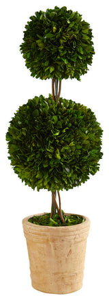 2.5' Preserved Boxwood Double Ball Topiary Tree, Decorative Planter
