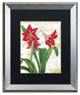 Color Bakery 'Peppermint Amaryllis' Art, Silver Frame, Black Matte, 16"x20"