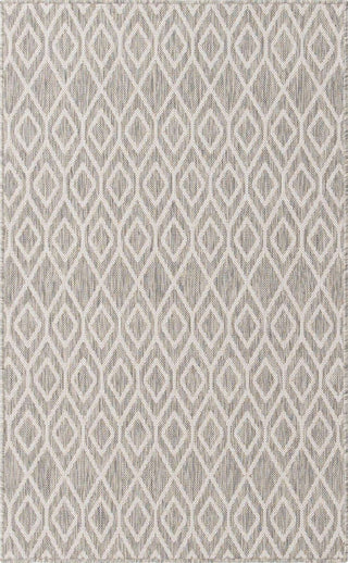 Indoor/Outdoor Destiny 3'x5' Rectangle Ash Gray Area Rug
