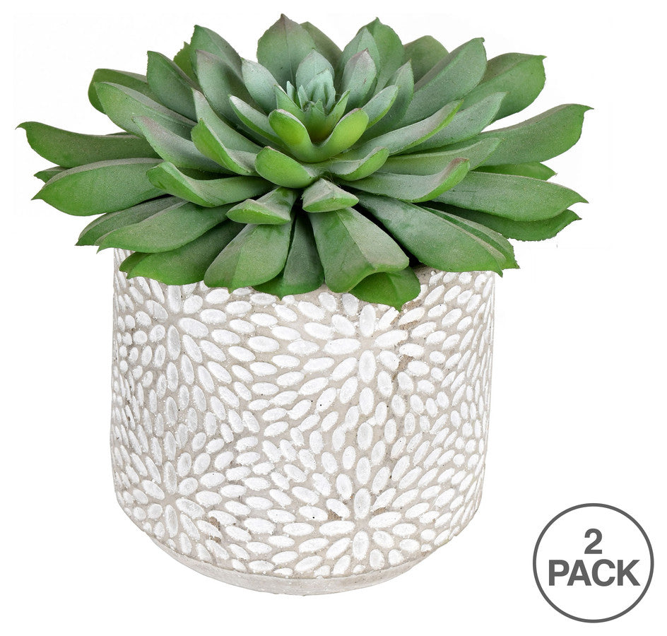 Vickerman FH191106 6" Artificial Green Potted Succulent, Pack of 2