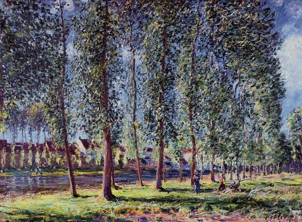 Alfred Sisley Lane of Poplars at Moret, 21"x28" Wall Decal Print