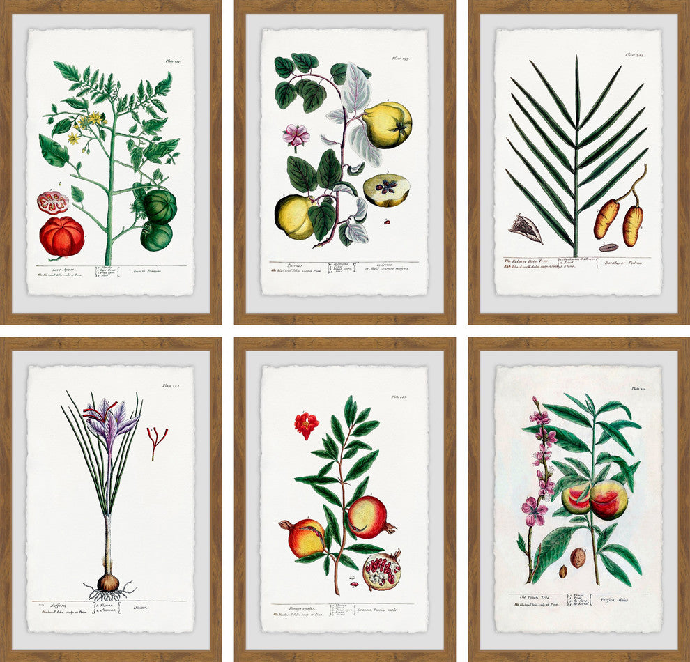 "Plantas Jali Hexaptych" Framed Prints, 24"x36", 6-Piece Set