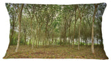 Rubber Tree Plantation During Midday Landscape Printed Throw Pillow, 12"x20"