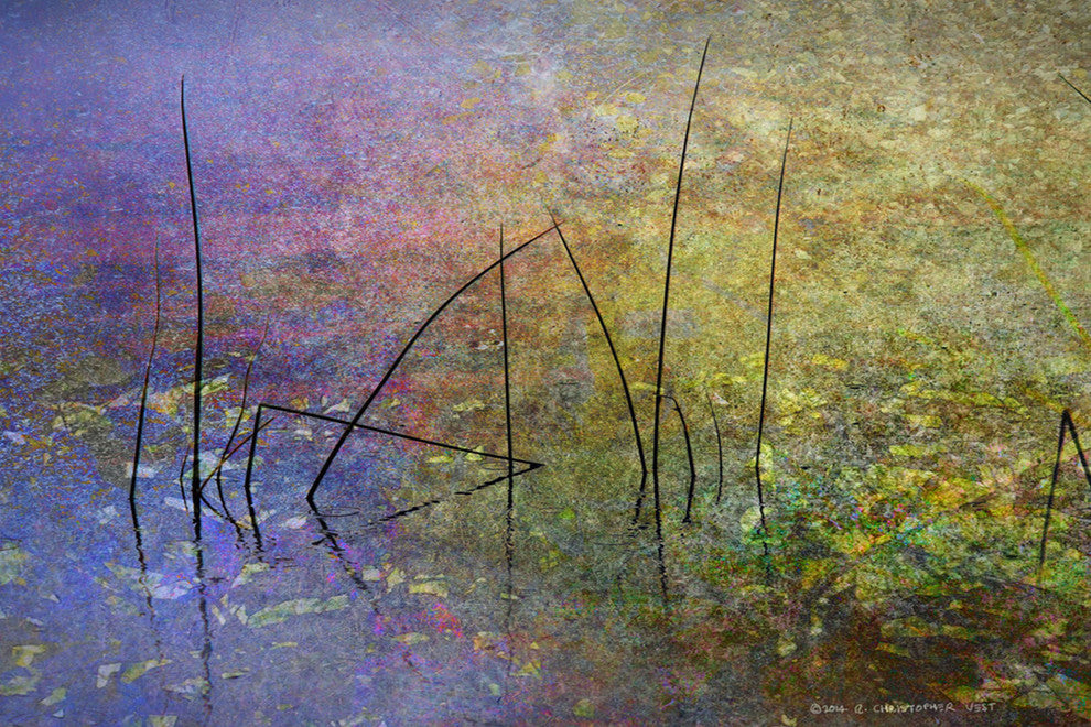 "Pond Surface" Painting Print on Canvas by Chris Vest