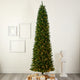 10' Slim Green Mountain Pine Artificial Christmas Tree With 800 Clear LED Lights