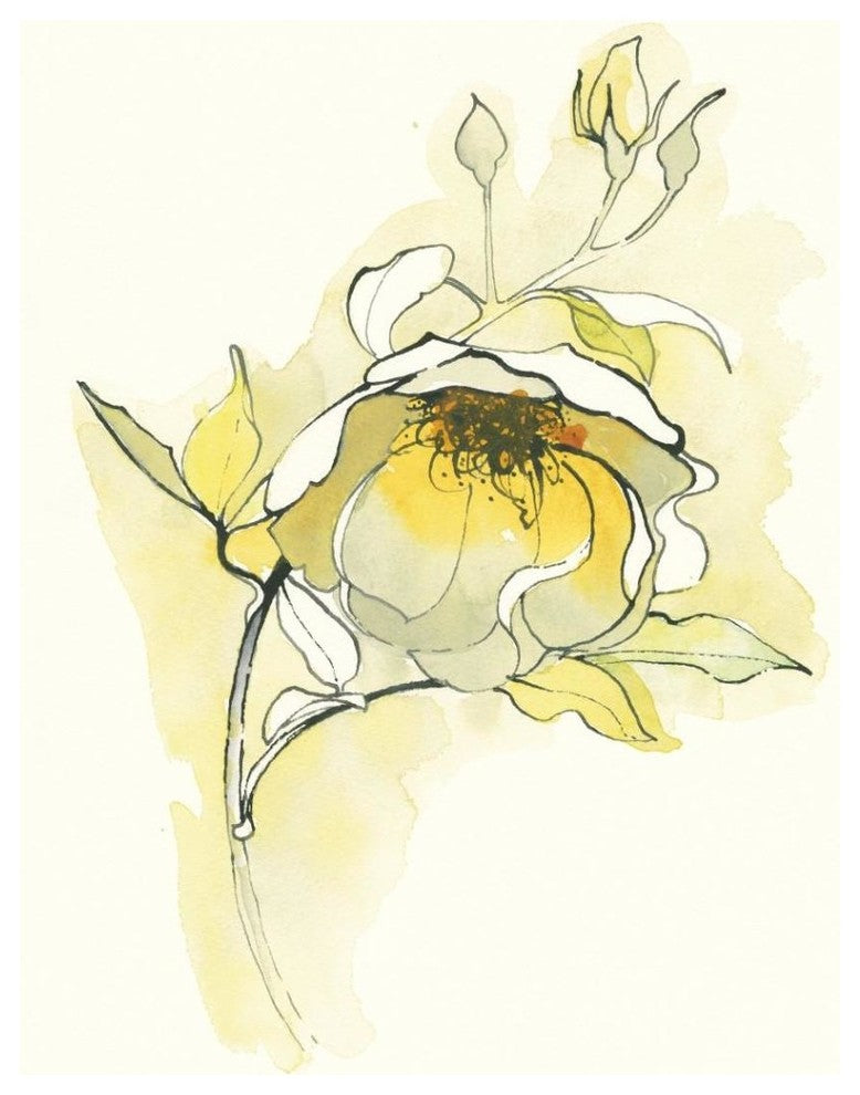 "Carols Roses V" Digital Paper Print by Shirley Novak, 32"x42"