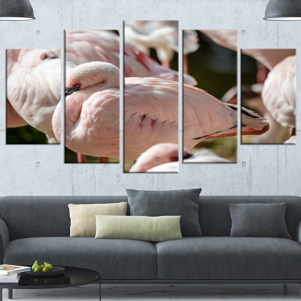 Pat of Flamingos Close Up, Abstract Canvas Art Print, 60"x32", 5 Panels