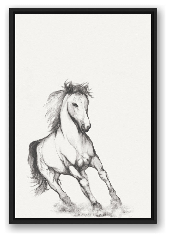 "Running Horse Sketch" Black Floating Framed Canvas, 20"x30"