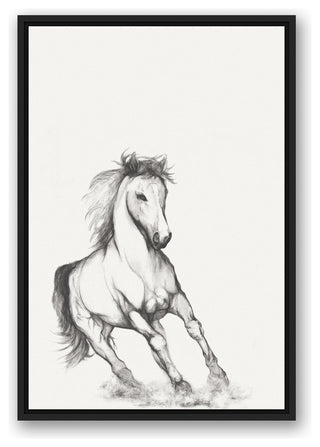 "Running Horse Sketch" Black Floating Framed Canvas, 20"x30"