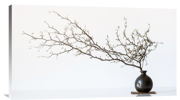 "Vase And Branch" Stretched Canvas Giclee by Prbimages, 30x17"