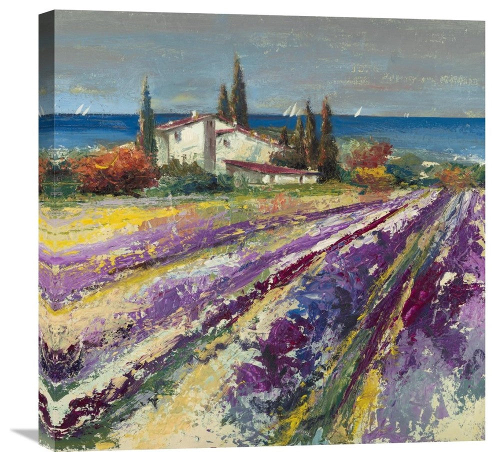Sognando la Provenza II, 24"x24"