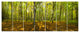 Green Autumn Forest Panorama, Landscape Canvas Art Print, 83"x32", 7 Panels