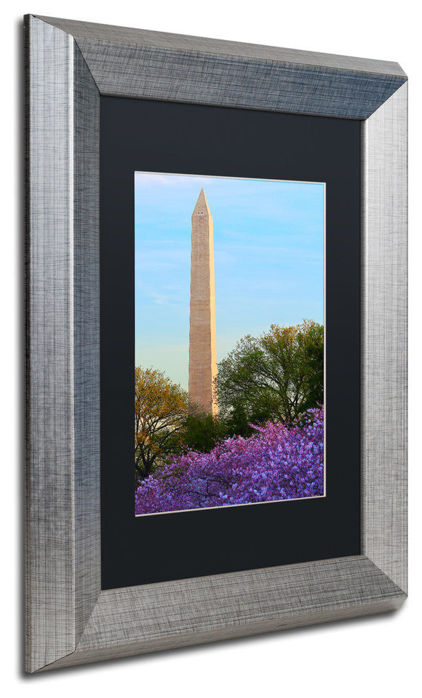 CATeyes ''Washington Monument Spring'', Silver Frame, Black Mat, 11x14