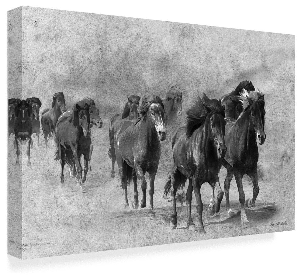 "Wild Horses 2" by Ata Alishahi, Canvas Art, 12"x19"