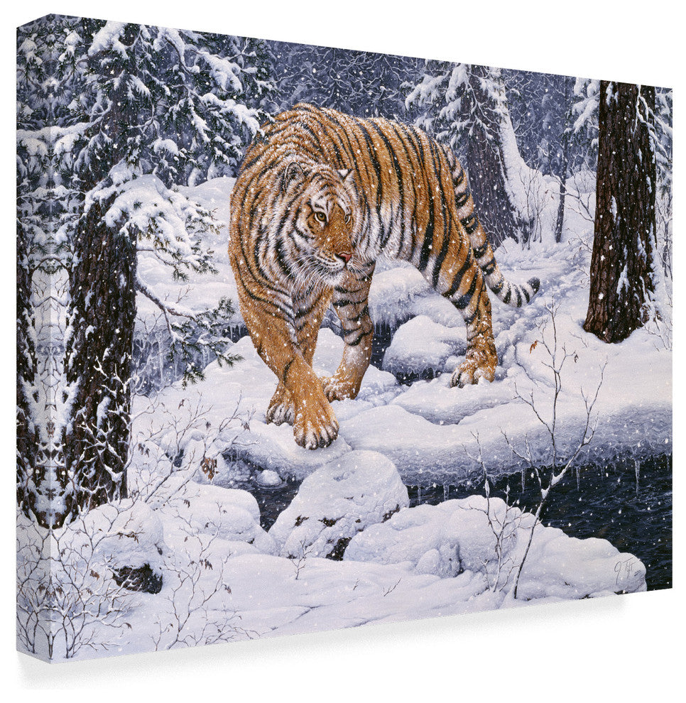 Jeff Tift 'Silent Hunter Siberian Tiger' Canvas Art, 47"x35"