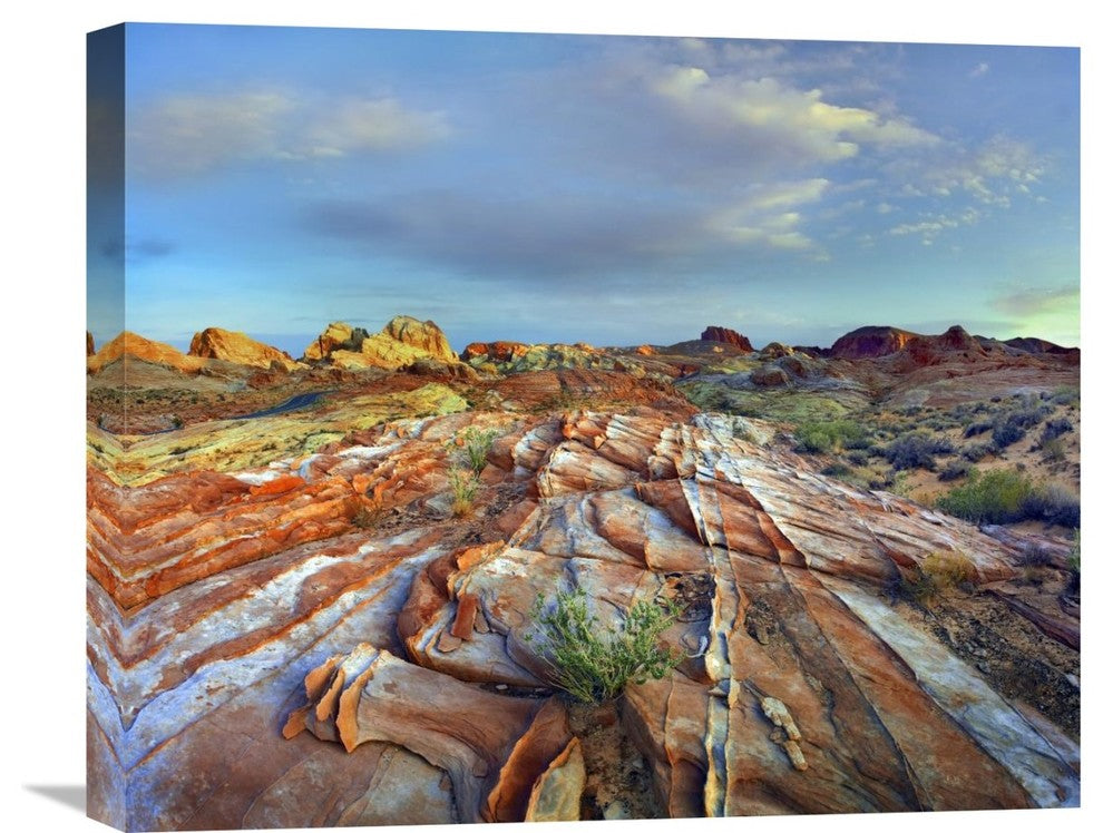 "Rainbow Vista, Valley Of Fire State Park, Nevada" Artwork, 22" x 18.26"